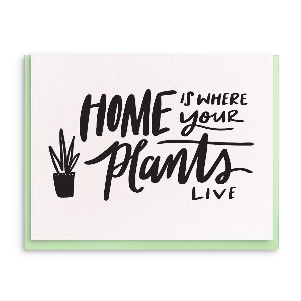 House Plants