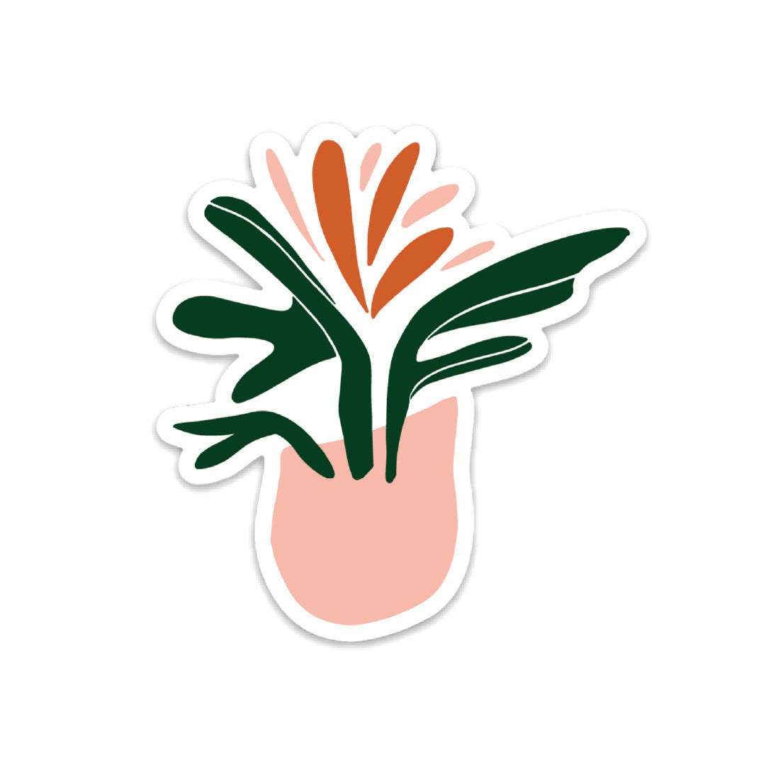 Plant II