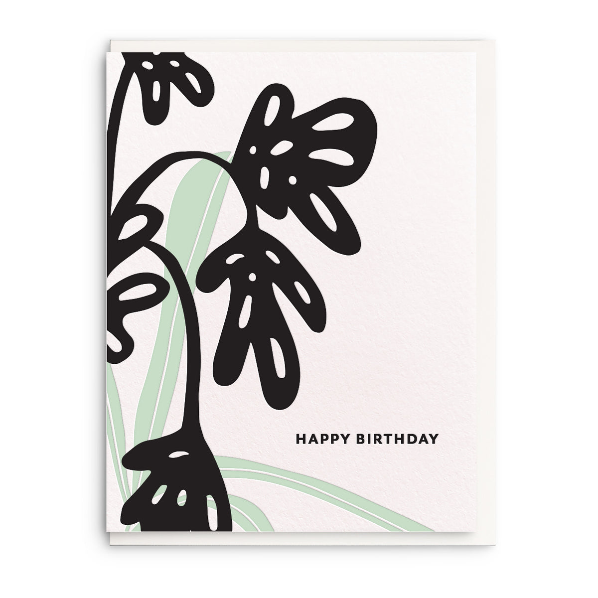 Birthday Plant