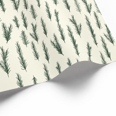 Douglas Fir